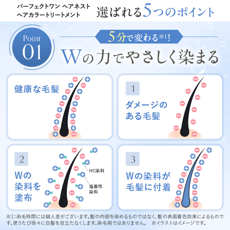 ヘアカラートリートメント ナチュラルブラック